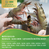 GEBIO-BetaGlucan-Shrimp-Fish-1L-5l-20l-thumb