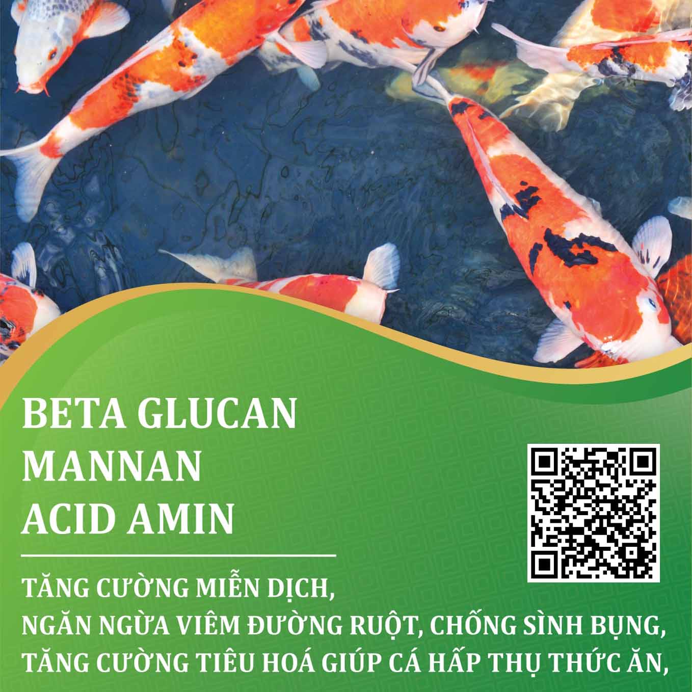 tem-betaGlucan-Fish-210x150_mm